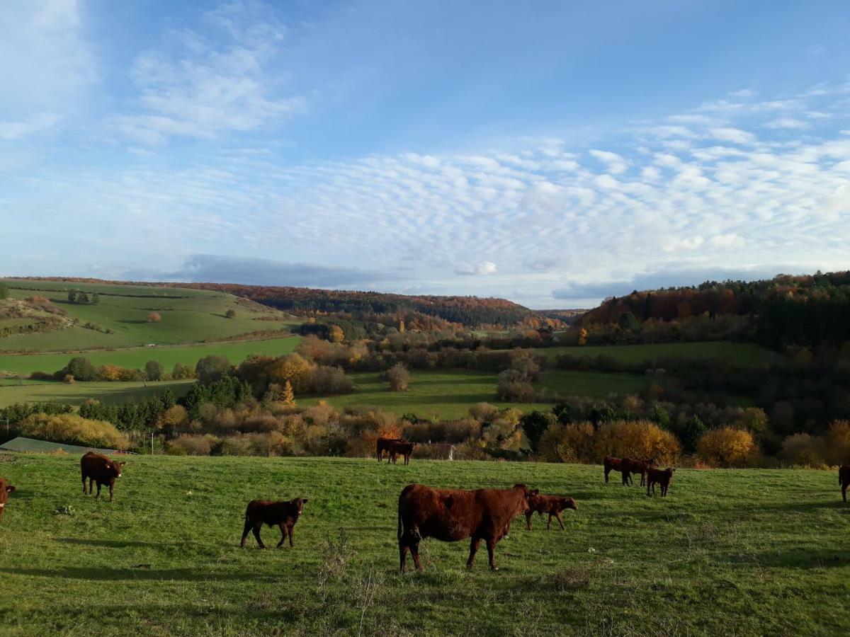 Gite Aux Lauriers Lacroix-sur-Meuse Luaran gambar